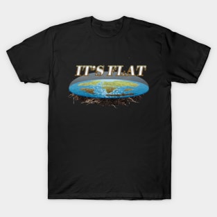 It's Flat T-Shirt